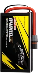 TARBG3084K08S10X.webp