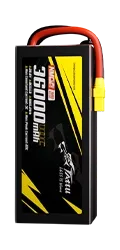TARBG3836K08S10X.webp