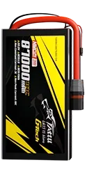 TARBG3887K06S10X.webp