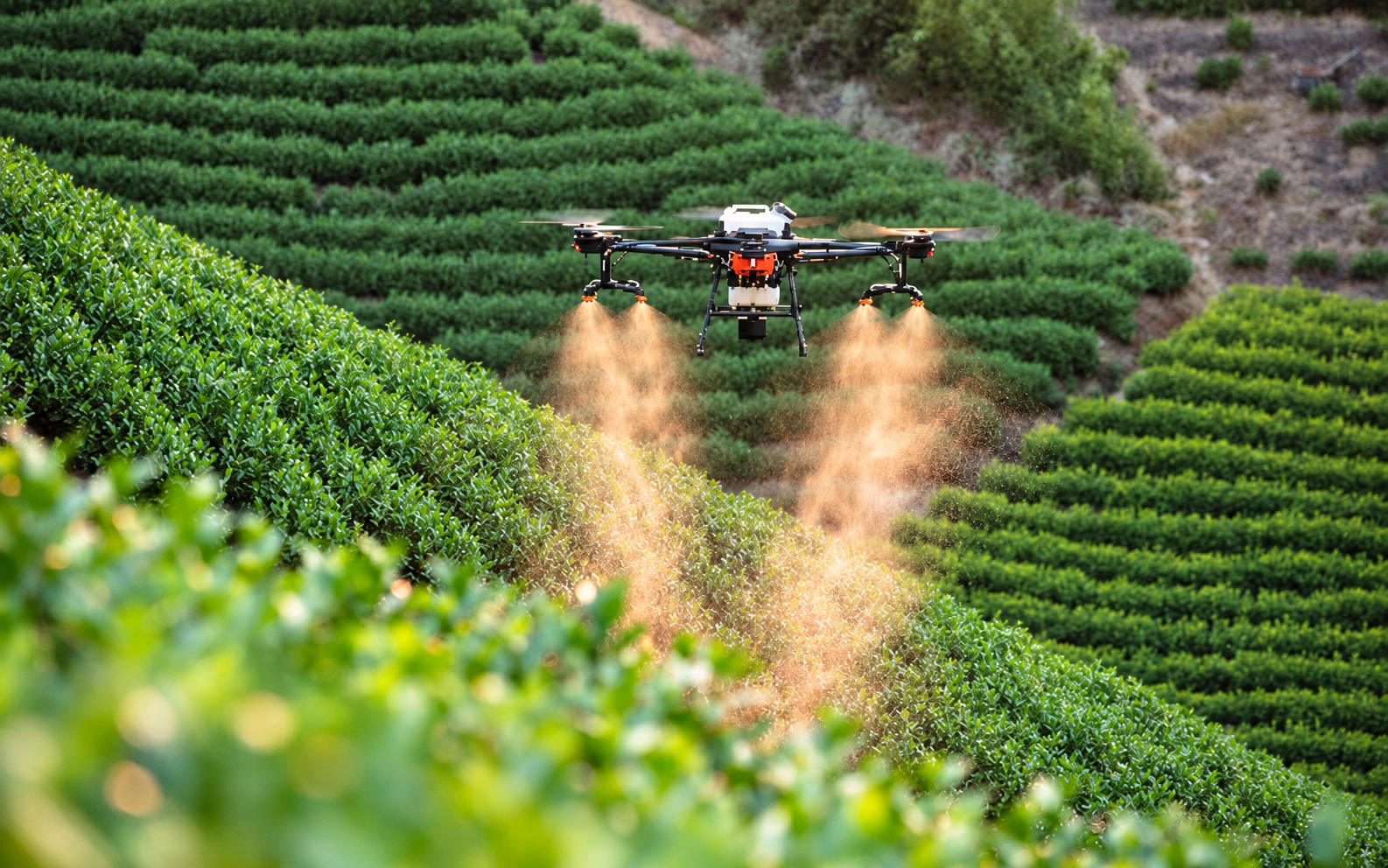10–20L Agricultural Spraying